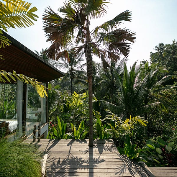 Ubud – Rainforest Retreat Rooms