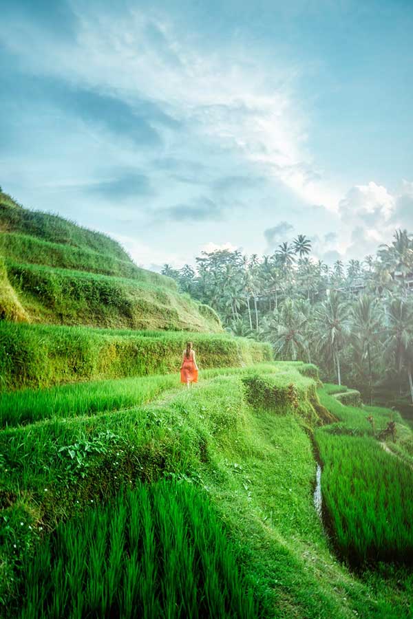 Walking, Bali Bliss Retreat